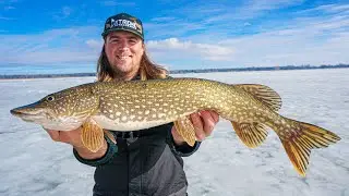 Saginaw Bay Ice Fishing Adventure: Deep Water Pike Spearing 2024