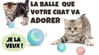 Votre chat va adorer - Balle &agrave; rotation automatique &agrave; 360&deg; - Et aussi pour votre chaton.
