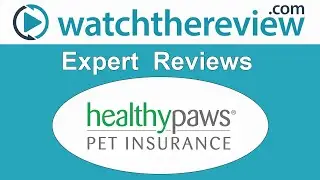 Healty Paws Review - Pet Insurance