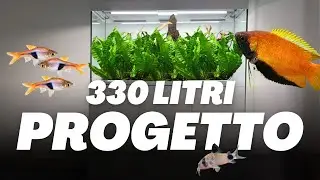 Progetto il mio acquario da 330 litri