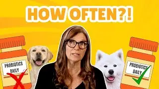 Should You Give Your Pet Probiotics Every Day? The Truth About Gut Health!