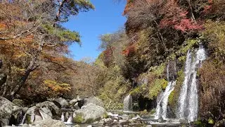 【Full HD】吐竜の滝の紅葉