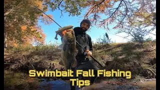 Kayak Bass Fishing- BIG Bass on HUGE Swimbaits+ Bonus Fall Fishing Tips!!