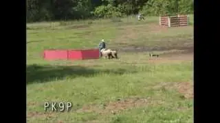 RESDA Kevin Owens Trial 5-6-12