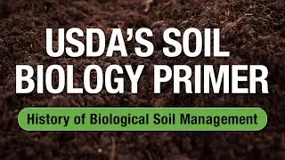 2 Minute Turf Talk - Soil Biology Primer