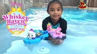 Disney Color Change Palace Pets Dreamy Muffin Pumpkin Rouge Unboxing | Toys Academy
