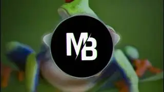 12 Th Planet & MONXX Ribbit