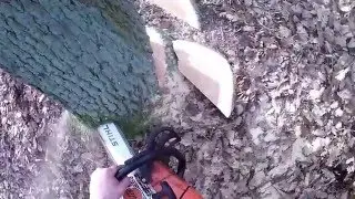 Stihl forestmachine