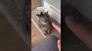 UNE VID&Eacute;O SIMPLE ET EFFICACE 😂😂😂