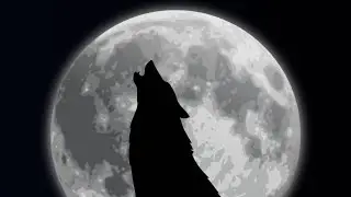 FLVTO- On verra 🌑🍃