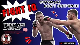 Fight IQ &mdash; Why Smart Fighters Beat Strong Ones?