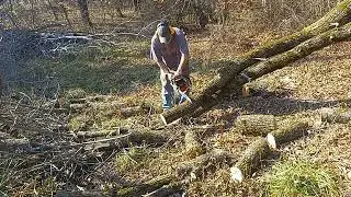 Ported 501 work saw