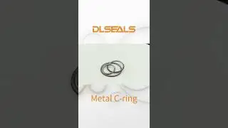 Metal C ring