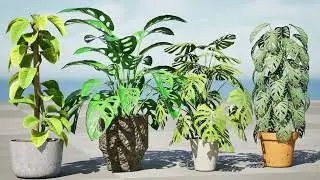 Monstera Plant 3D animation with uneal