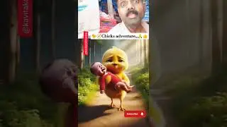 chicks adventure | 🐤👍 | #reactionshorts #chicksadventure #ytshort #amazingfacts