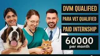 CM Paravets Punjab Internship Program 2025 | 1000+ Paid Internships | Apply Online Now