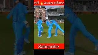 Charismatic bowling of Mohammed Shami #ytshorts #shami #cricket #indvsaus