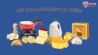 Life cycle assessment (LCA) of cheese