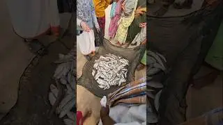 Village fish Market
