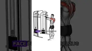 So bekommst du DICKE Schultern - Schulter Training #schultertraining #trainingsplan #muskelaufbau