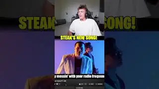 Reacting To Steak's New Song...