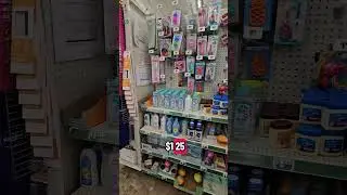 Complete Dollar Tree Walkthrough | Price Increases + Full Store Tour 2025
