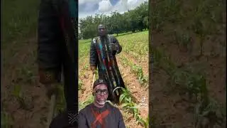 Kawtef ! Azoura menace de mort &agrave; Fadilou Ke&iuml;ta