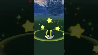 Catching a HUNDO Alolan Geodude during Spotlight Hour Pokemon GO