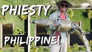 Most Endangered Crocodiles Get A New Home! | Primitive Predators