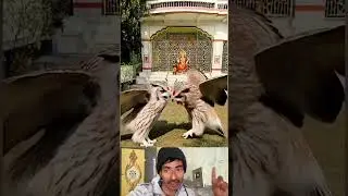 શુભ સંકેત ખજાને ખોટને રહે જય લક્ષ્મી માં લખી તો જો