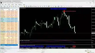 For trial call on us :- +919157728781 @MGAUTOSOFTWARE #trading #autotradingsoftware #yt #ytvideo
