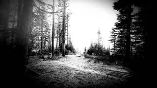 Robert R. Hardy - Light Therapy (Original Mix)