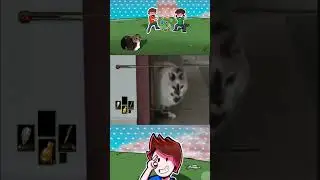 la tota cuando ve a un repartidor