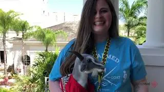 Kellyn Ashpole | LocalMed Testimonial