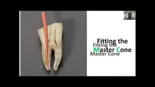 Continuous Wave Compaction Technique. Dr Zaher Alswaidan