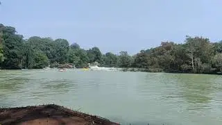 dendeli...