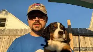Meet our newest family member; straight Virginia question