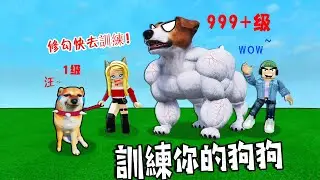🐶訓練狗狗：訓練你的狗狗，打敗所有對手，成為霸主！……🐶train dog to fight | ROBLOX