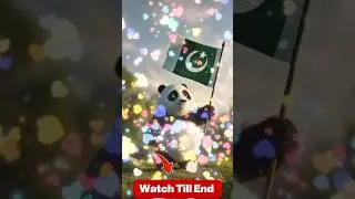 Cute Panda Holding Pakistani Flag 🇵🇰 | Emotional Patriotic Short Video | AI Animation 4K