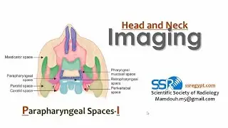 08 Imaging of Parapharyngeal spaces  TEC  Prof  Mamdouh Mahfouz