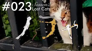Noraya Lost Cats Season2&nbsp;#023