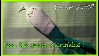 ASMR | Super Crinkle Pet Toy |  No talking  | Window ASMR