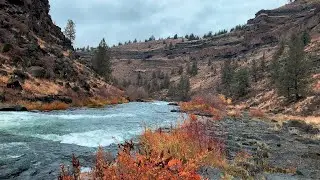 (4K UHD) HIKING HIGHLIGHTS - Deschutes Canyon River Shoreline @ Steelhead Falls | Fall Autumn Colors