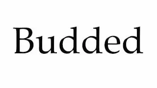 How to Pronounce Budded