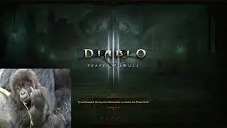 [D3/S11] gr 114 eu rank 536