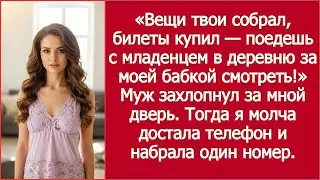 Вещи твои собрал, билеты купил — поедешь с младенцем в деревню за моей бабкой смотреть! Заявил муж