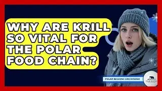 Why Are Krill So Vital For The Polar Food Chain? - Polar Regions Uncovered