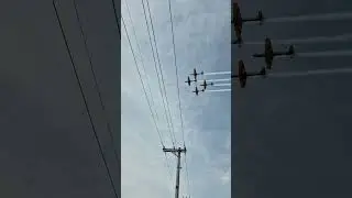 Esquadrilha da Fuma&ccedil;a - Pama 2025