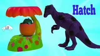 Purple Dinosaur Hatch Hatchimal Egg video