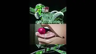 レロレロレロレロレロレロレロレロ『花京院典明』ジョジョの奇妙な冒険#花京院典明#アニメ#ありがとうお疲れ様感謝